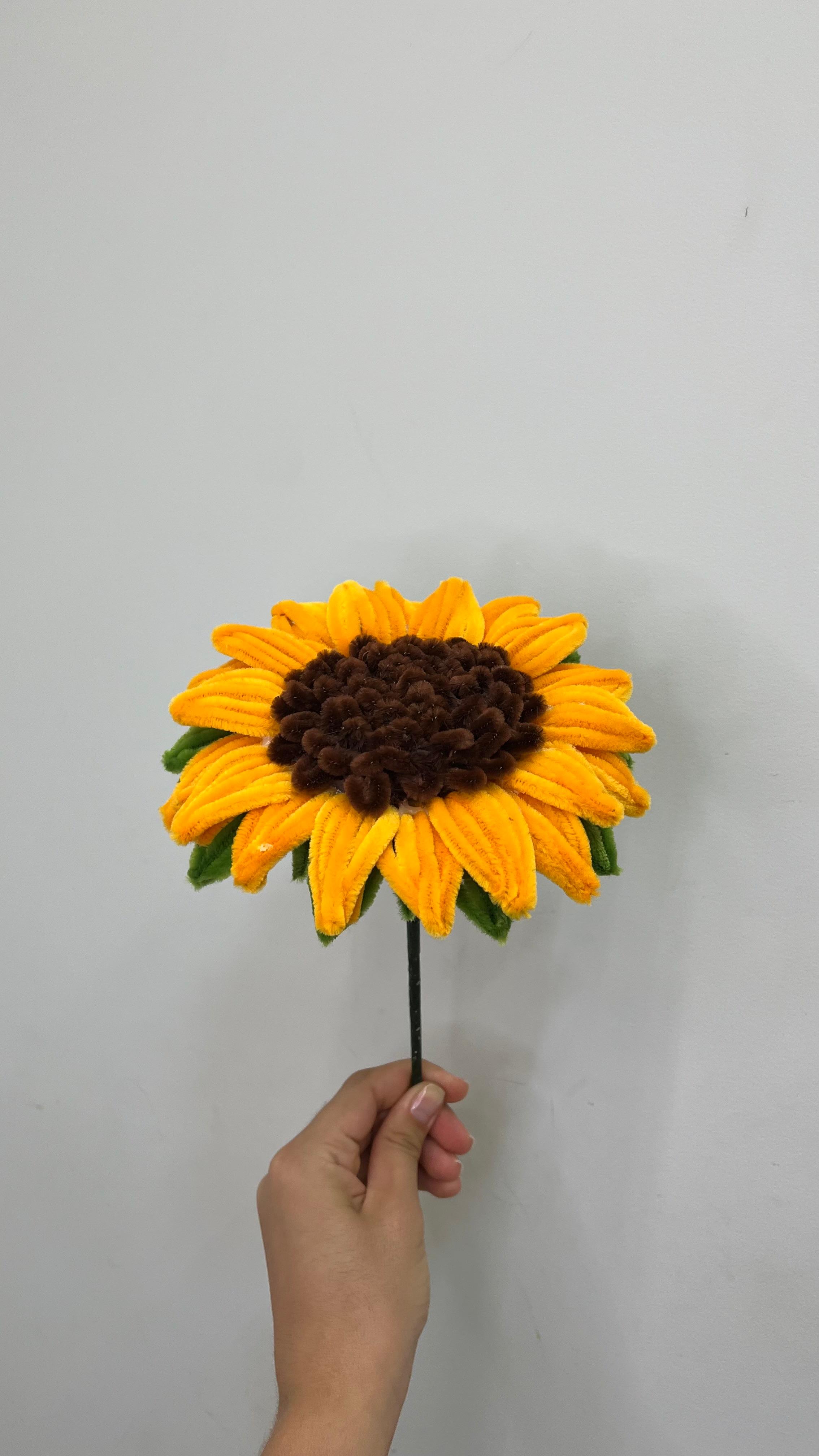 Girassol G PipeFlorYou